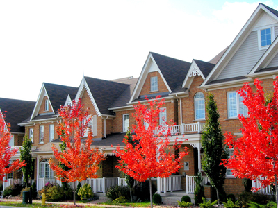 Real estate: A row of new townhomes with bright red fall trees